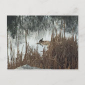 冬の至 ポストカード (正面)