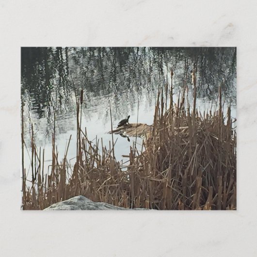 冬の至 ポストカード (正面)