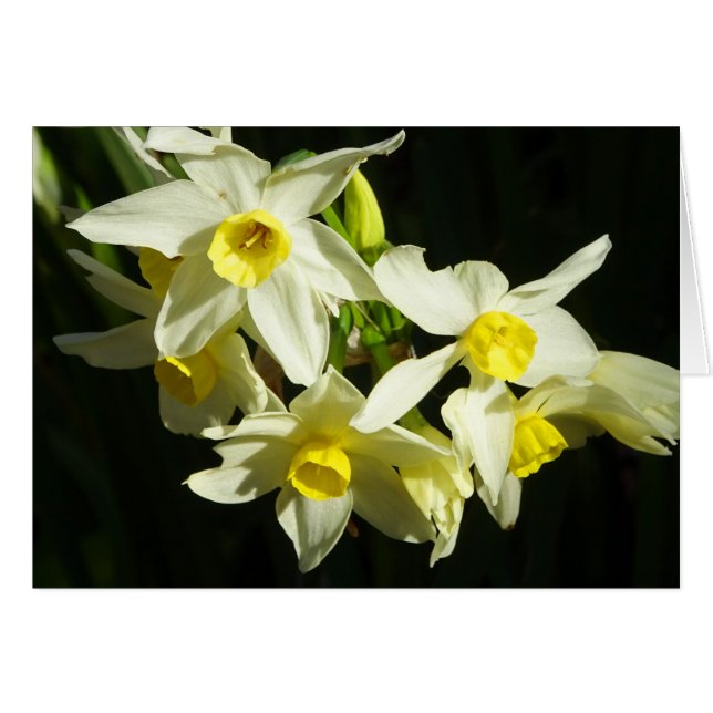 冬の花 (正面横)