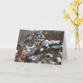 "冬の花" クリスマスカード カード (黄色い花)