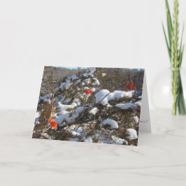 "冬の花" クリスマスカード カード