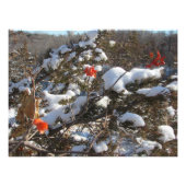 「冬の花」 フォトプリント            (正面)