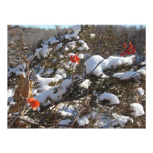 「冬の花」 フォトプリント            (正面)