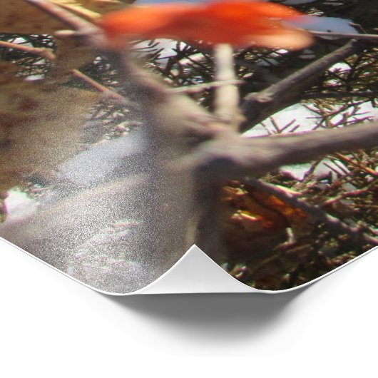 「冬の花」 フォトプリント            (角)