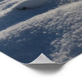 冬の草 –  ポスター (角)