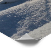 冬の草 –  ポスター (角)