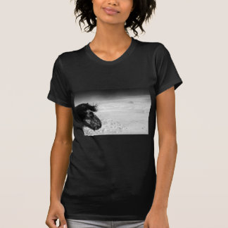 冬の荒野のアイスランドの馬 Tシャツ