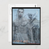 冬の葉書の死骸 ポストカード (正面/裏面)