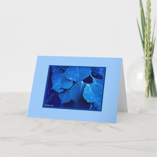 冬の葉 カード (正面)