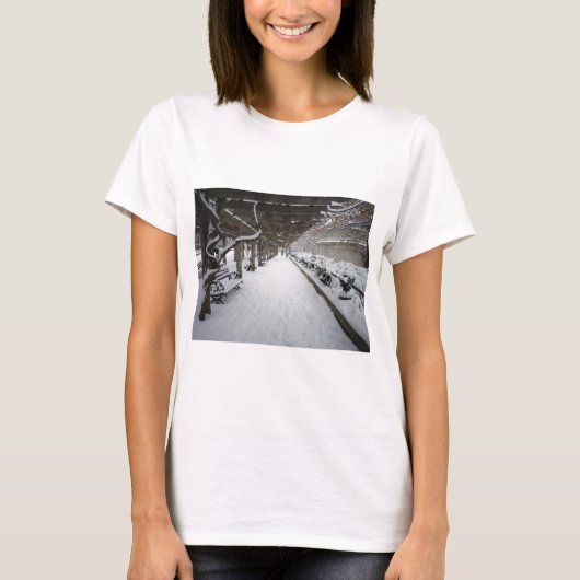 冬の藤のパーゴラ、セントラル・パーク、NYC Tシャツ (正面)