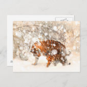 冬の虎 ポストカード (正面/裏面)