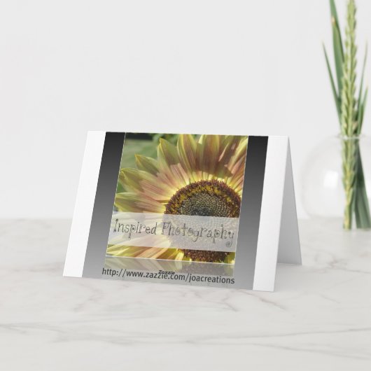 冬の虹 カード (裏面)