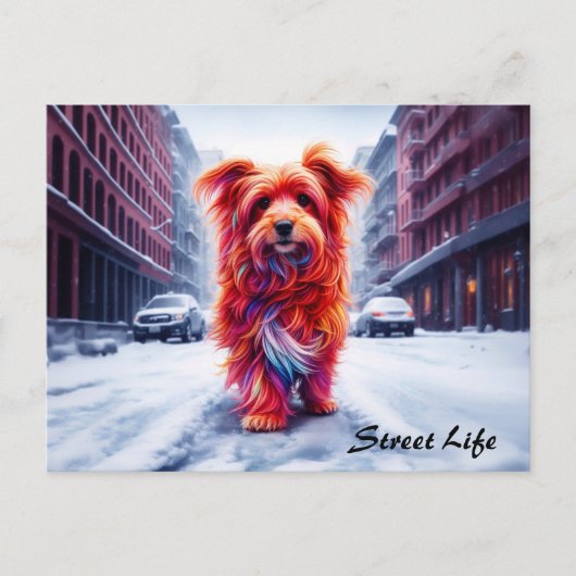 冬の街並みに愛らしい霜の降りた通り犬 ポストカード (正面)