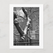 「冬の街」はがき ポストカード (正面)