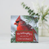 冬の赤いカーディナル 追悼 クリスマス ウェディング セーブザデート (スタンド正面)