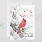 冬の赤いショウジョウコウカンチョウの鳥のクリスマスカード (正面)