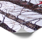 冬の赤い鳥2羽 ポスター (角)