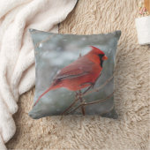 冬の赤い（鳥）ショウジョウコウカンチョウ クッション (ブランケット)