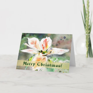 冬の赤面のポインセチアの水彩画のクリスマスカード シーズンカード