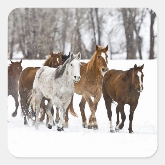 冬の走の景色 スクエアシール (正面)