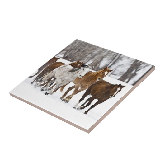 冬の走の景色 タイル (側面)