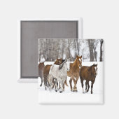 冬の走の景色 マグネット (正面/裏面)