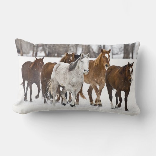 冬の走の景色 ランバークッション (正面)