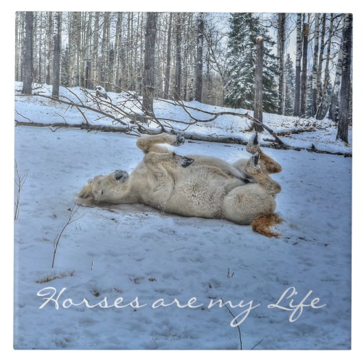 冬の転が雪の白馬 タイル (正面)