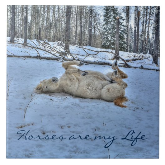 冬の転が雪の白馬 タイル (正面)