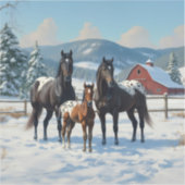 冬の農園で黒いアパロオーサの馬 シール (正面)