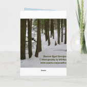 冬の道の写真撮影の挨拶状 カード (裏面)