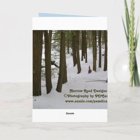 冬の道の写真撮影の挨拶状 カード (裏面)