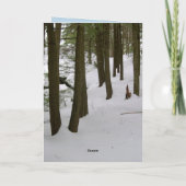 冬の道の写真撮影の挨拶状 カード (裏面)