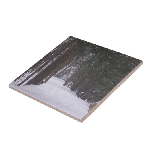 冬の道 タイル (側面)