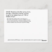 冬の道 ポストカード (裏面)