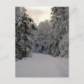 冬の道 ポストカード (正面)