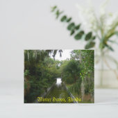 冬の避難所、フロリダのはがき ポストカード (スタンド正面)