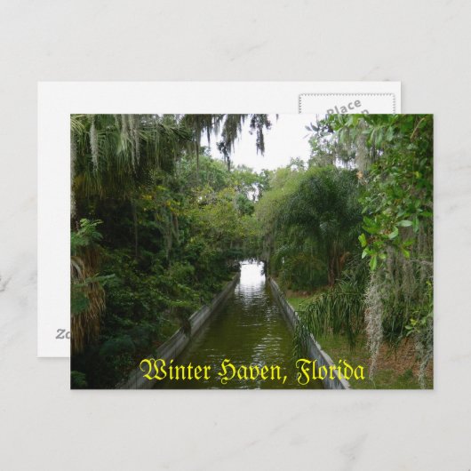 冬の避難所、フロリダのはがき ポストカード (正面/裏面)