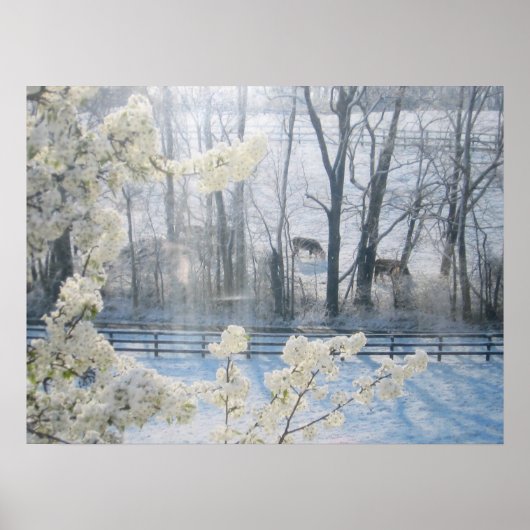 冬の野牛 ポスター (正面)