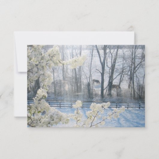 冬の野牛 招待状 (正面)