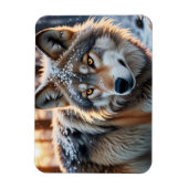 冬の野生の狼 マグネット (縦)