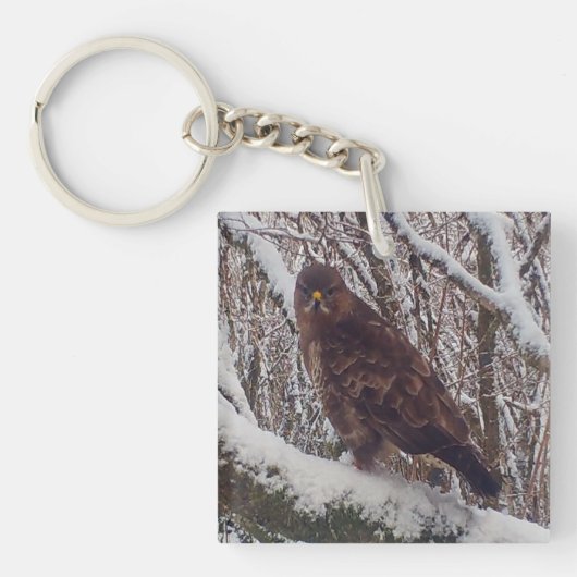 冬の野生動物、雪の枝にとまるノスリ キーホルダー (正面)