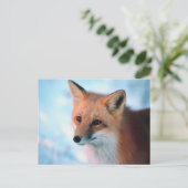 冬の野生生物 ポストカード (スタンド正面)