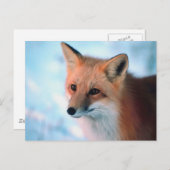 冬の野生生物 ポストカード (正面/裏面)