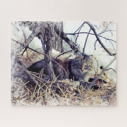 冬の野良猫の写真アート ジグソーパズル (横)