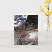 冬の野良猫の葉書 カード (黄色い花)