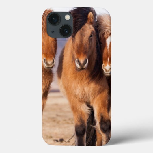 冬の間のアイスランドの馬 Case-Mate iPhoneケース (裏面)