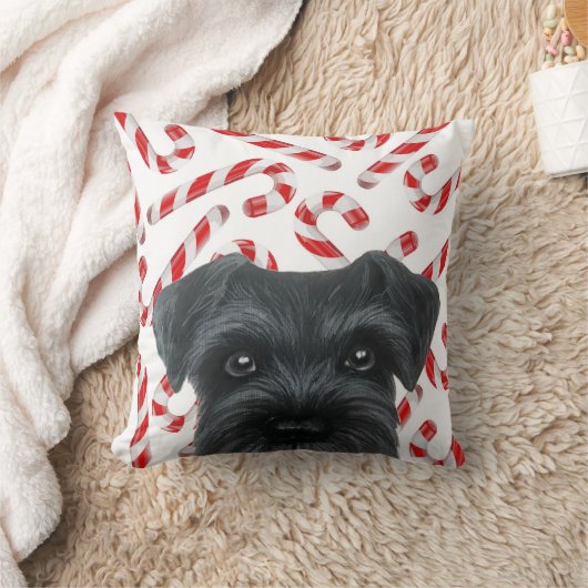 冬の限定版。 キャンデーを持つ黒いシュナウツァー クッション (ブランケット)