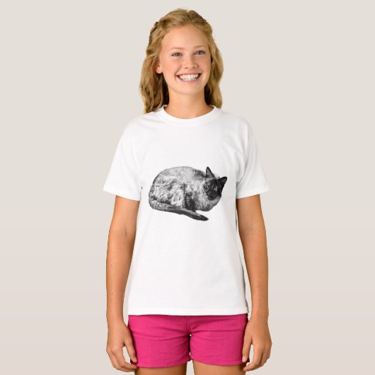 冬の陰影が美しい猫 Tシャツ (正面フル)