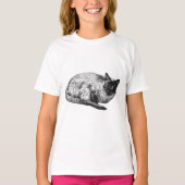 冬の陰影が美しい猫 Tシャツ (正面)